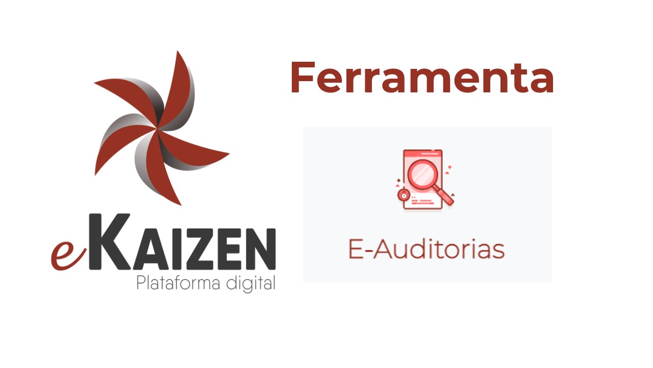 Treinamento Ferramenta e-Auditoria