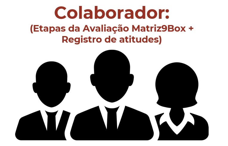 COLABORADOR :  Etapas da Avaliação Matriz 9Box